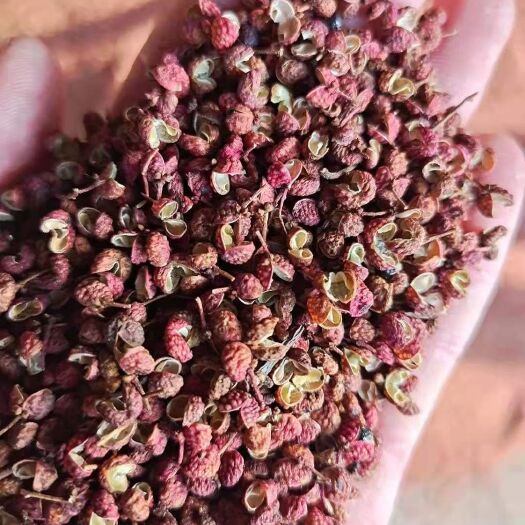 济南红花椒 特级 干花椒