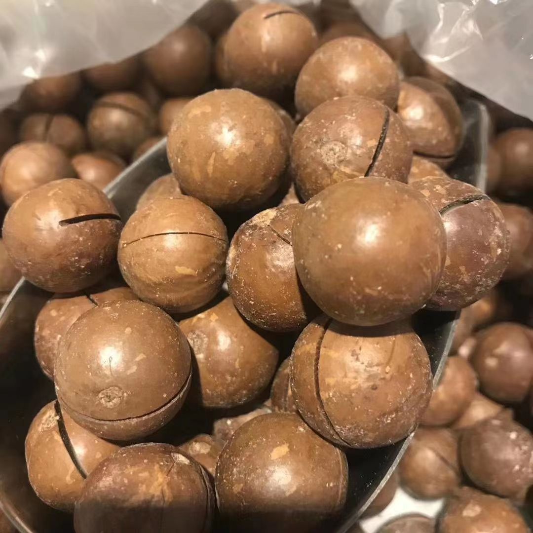 今年新货夏威夷果奶香味，罐装袋装散装，批发拿货，一件代发