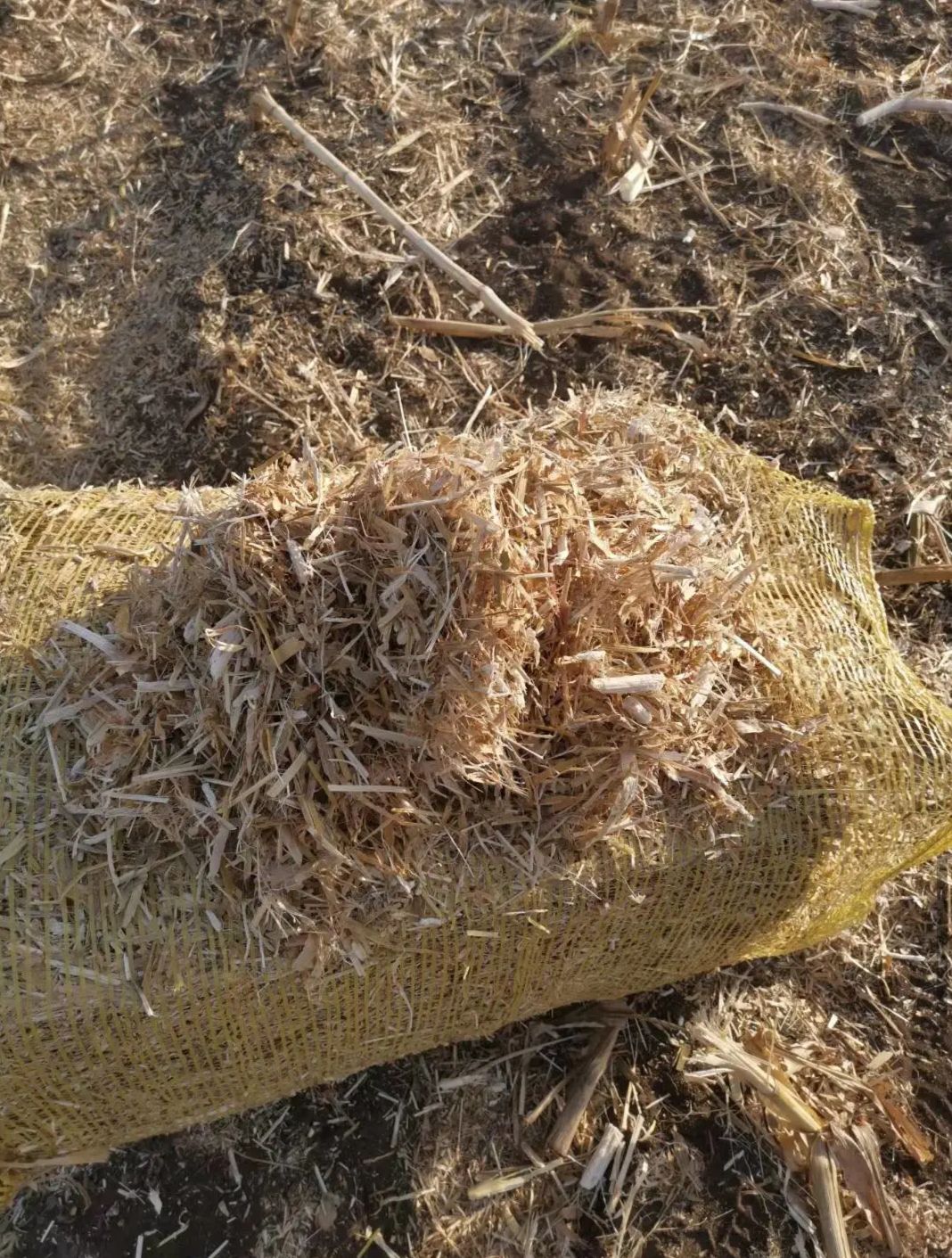 玉米秸秆，无土无膜，除尘柔丝，欢迎订购