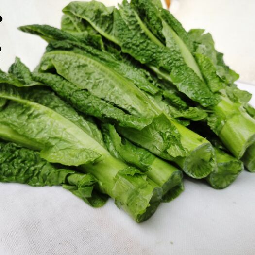 成都长期供应去皮莴笋肉，尖子，杆子。
