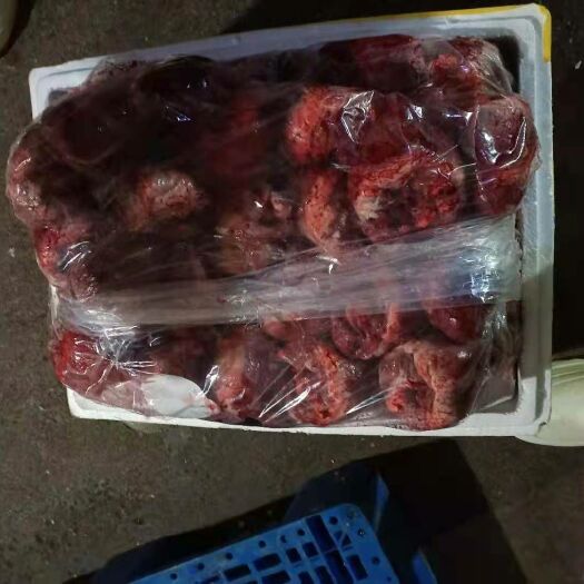 郑州猪心