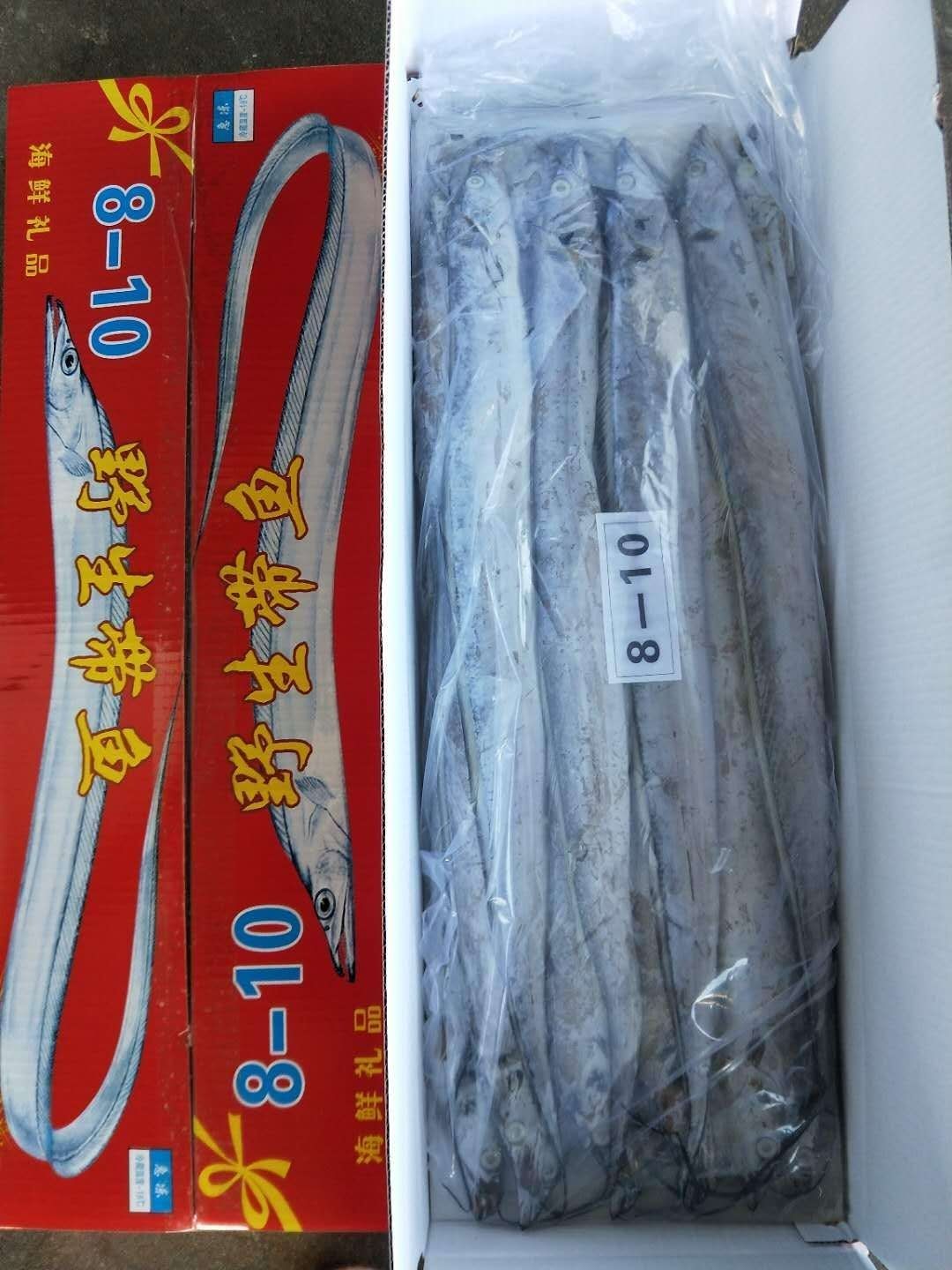 渤海刀鱼 网捕刀鱼，钓钩刀鱼都有送礼工厂发福利的看过来批发支持零售
