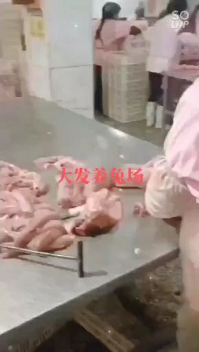 各种规格兔肉产品批发价格出售不限数量