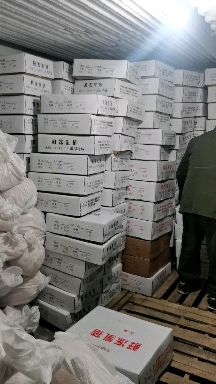 整头猪  冻乳猪，烤乳猪，冷乳猪，乳猪，脆皮乳猪