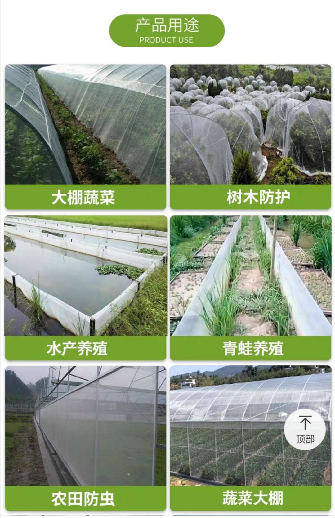 防虫网  大棚专用加厚蔬菜40目60目防鸟青蛙养殖