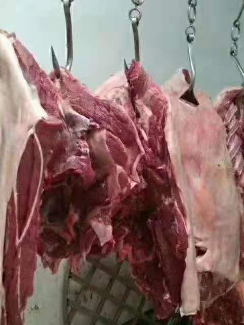 鲜驴肉  农家 驴肉