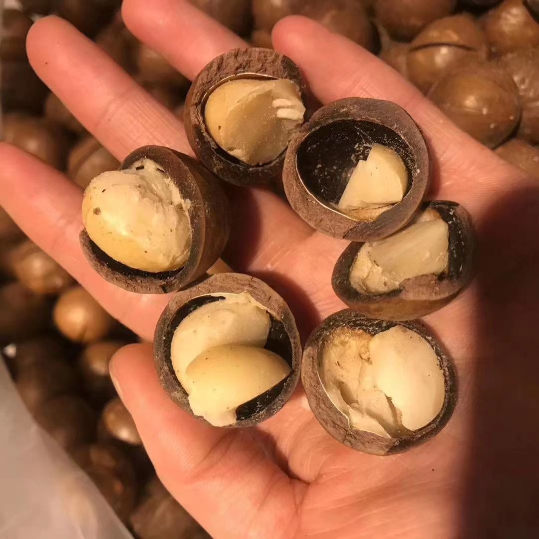 今年新货夏威夷果奶香味，罐装袋装散装，批发拿货，一件代发