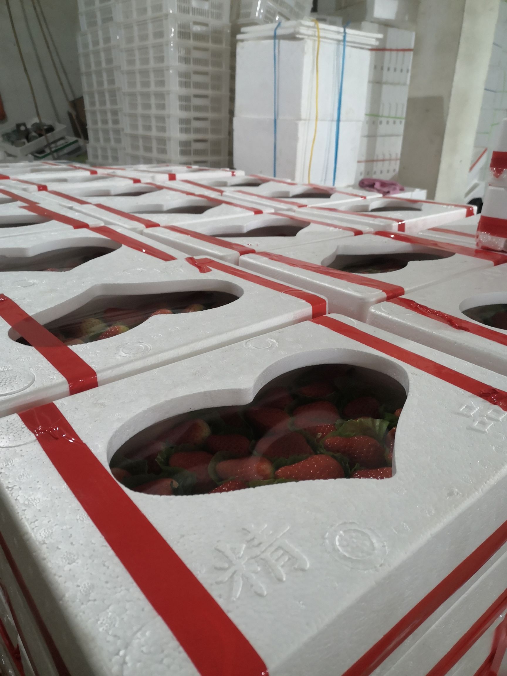 宁玉草莓  奶油草莓 货源充足 支持各种包装产地代办诚招全国