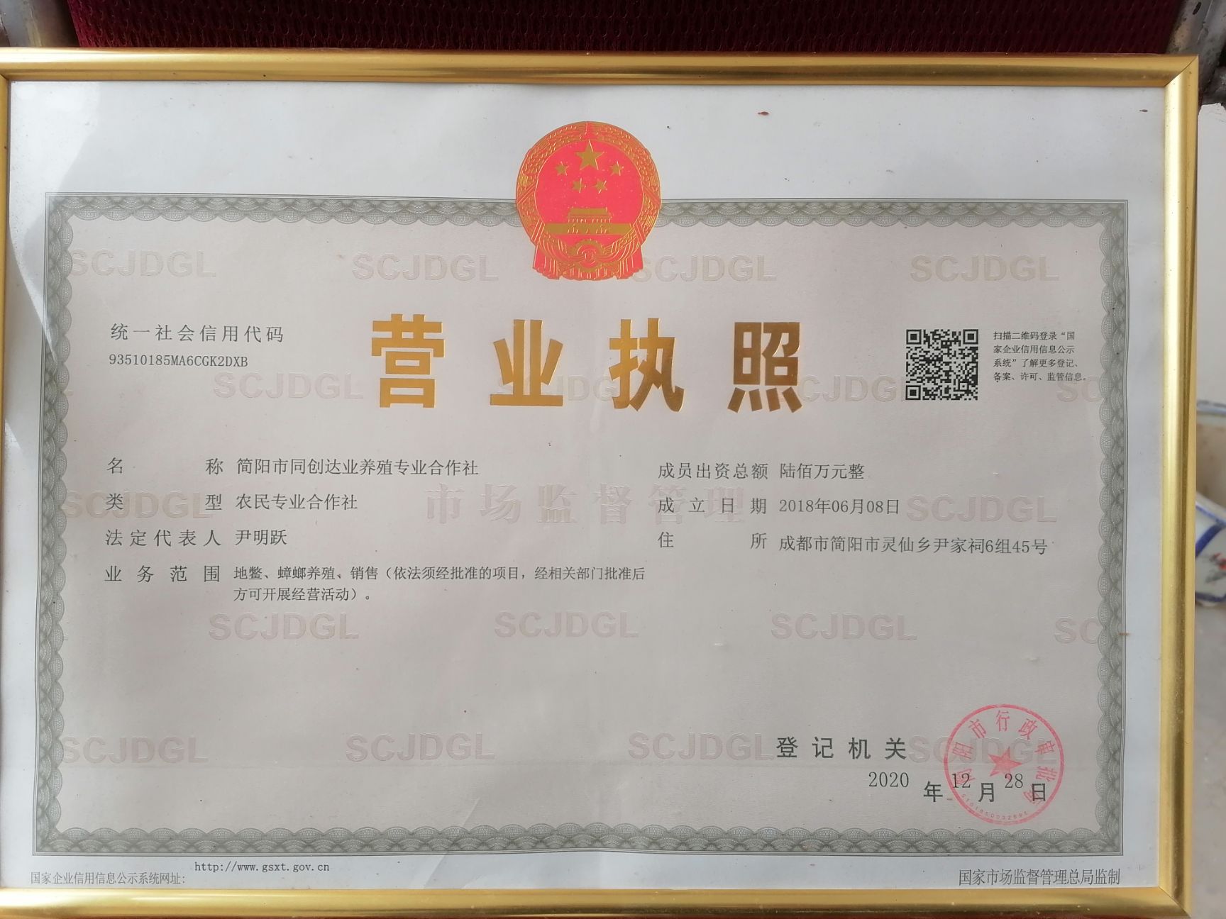 土元苗  质量保证，包补包换