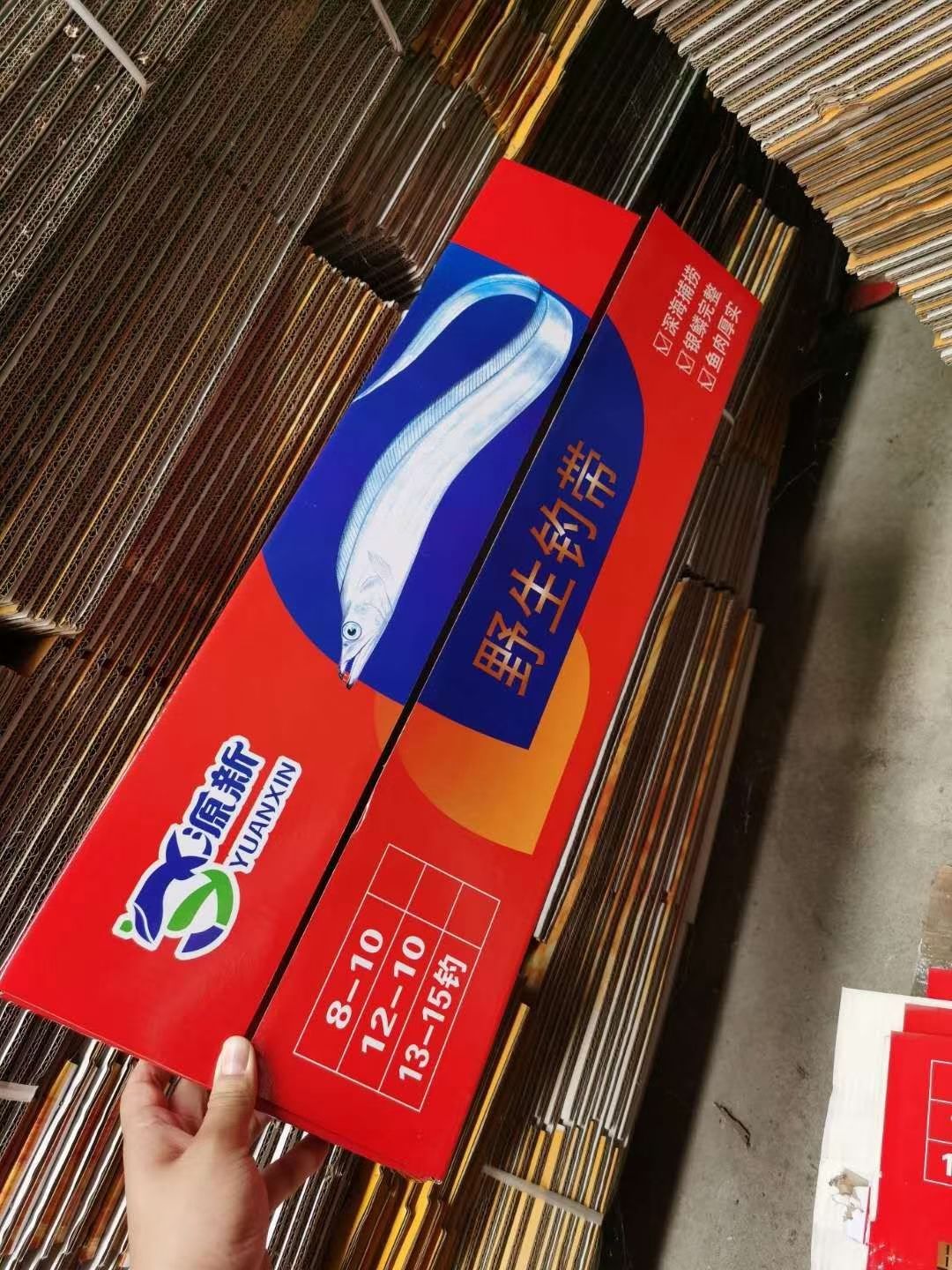 渤海刀鱼 网捕刀鱼，钓钩刀鱼都有送礼工厂发福利的看过来批发支持零售