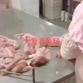 兔肉白条今年价格还行养殖肉兔有发展趋势