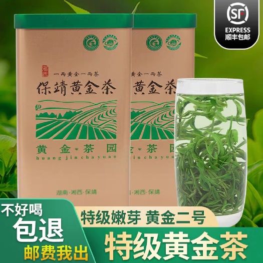 吉首市保靖黄金茶2023茶明前头采黄金二号绿茶