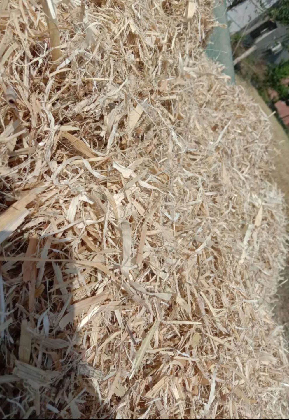 玉米秸秆无土无膜，除尘柔丝欢迎订购