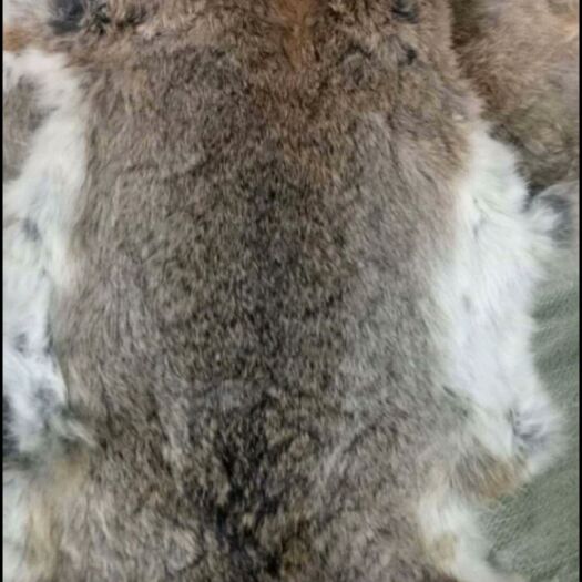 枣强县兔毛  大量供应熟兔皮，兔皮褥子。皮板柔软个大毛足，另长期收购生皮