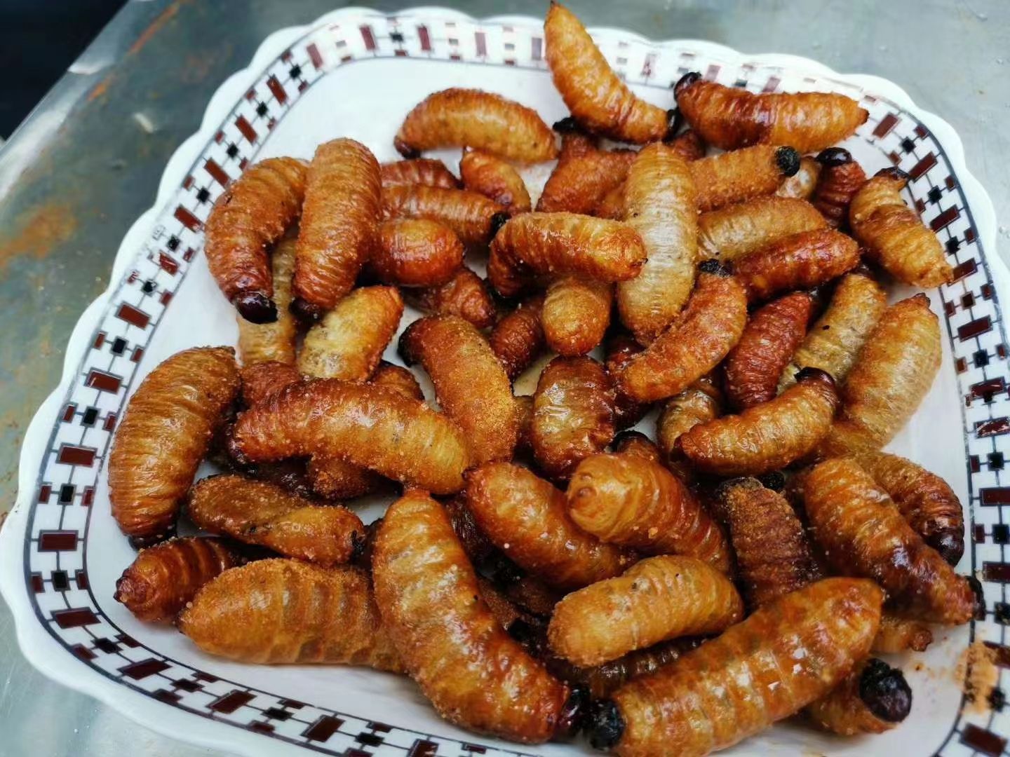 豆虫 竹虫，竹象虫，竹蜂，竹虫养殖，长期稳定大量供应商品虫，种虫，