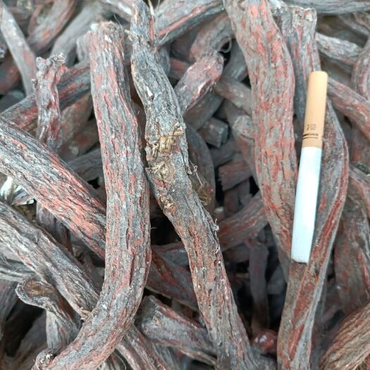 亳州丹参，1.2以上上不封顶大条。抗货，晒货都有。