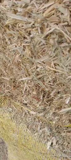 干草 回笼资金柔丝谷草，切断谷草，大量出售，货好