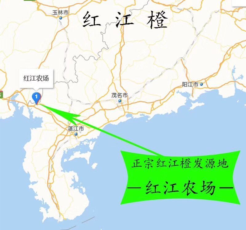 红橙  正.宗红江橙国.宴佳果中国橙王人间仙桃，广东红江农场