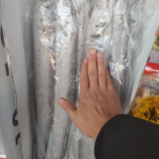 莒县 国产东海带鱼，包装精美，物美价廉，欢迎咨询。