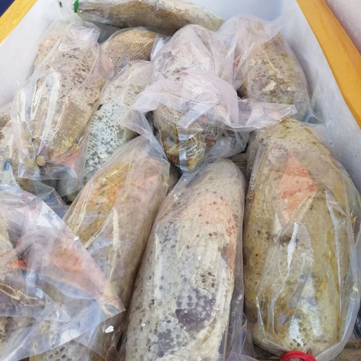 瑞丽市蜂蜜  一手货源云南高山小挂蜜缅甸小挂蜜