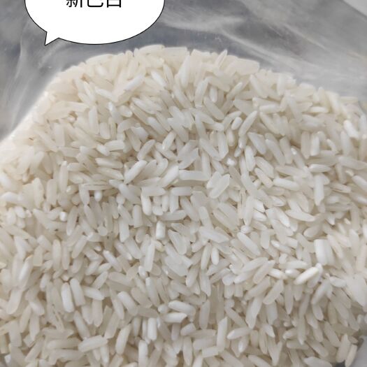 深圳籼米  巴基斯坦白米