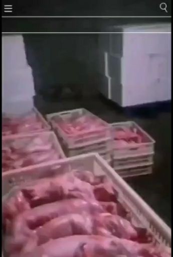 大发养兔场大量供应新鲜屠宰兔肉白条及兔肉分割产品