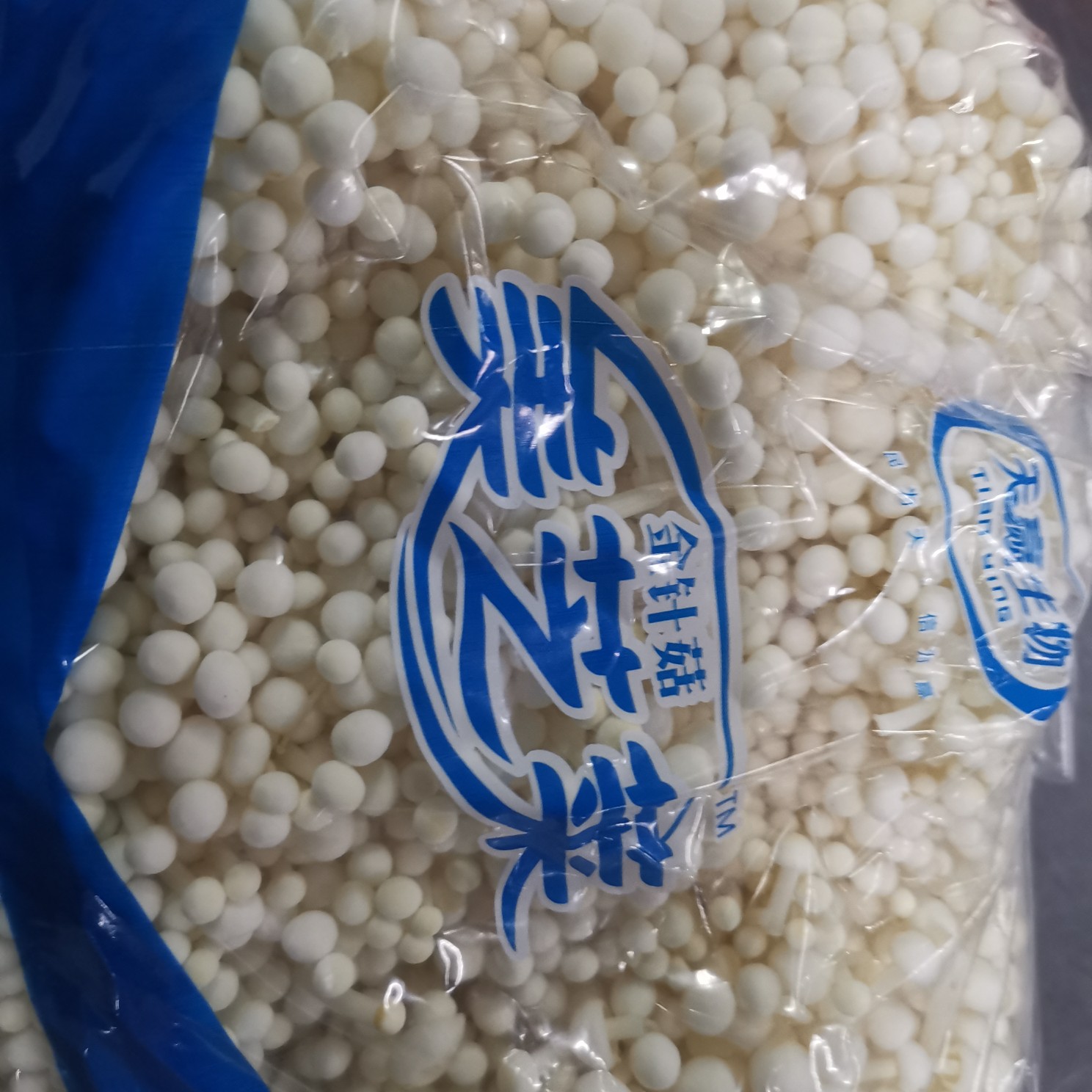 白金针菇 鲜金针菇 未开伞 