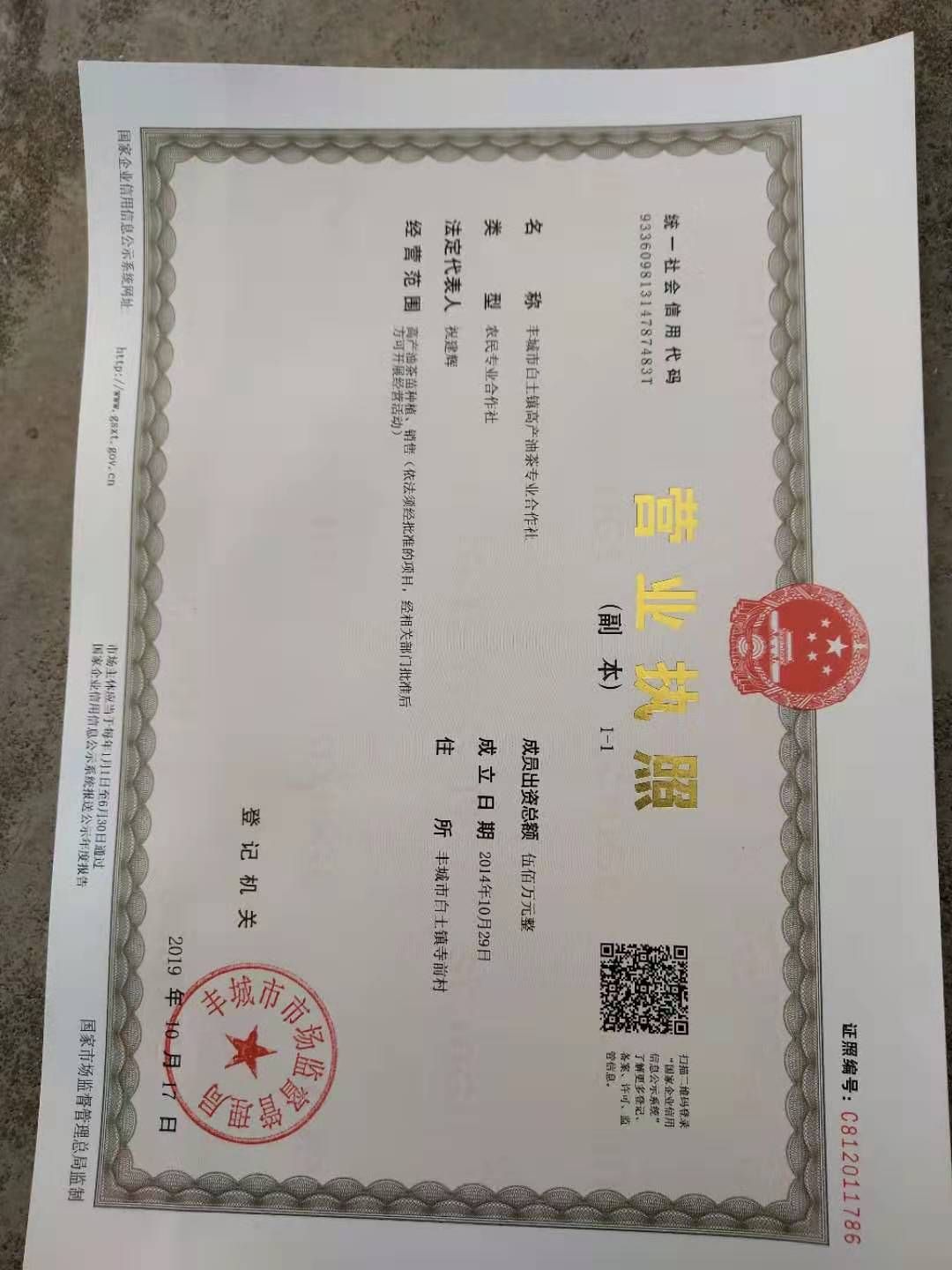 油茶树苗  江西省长林系列2年嫁接裸根苗，品种齐全，能开3证