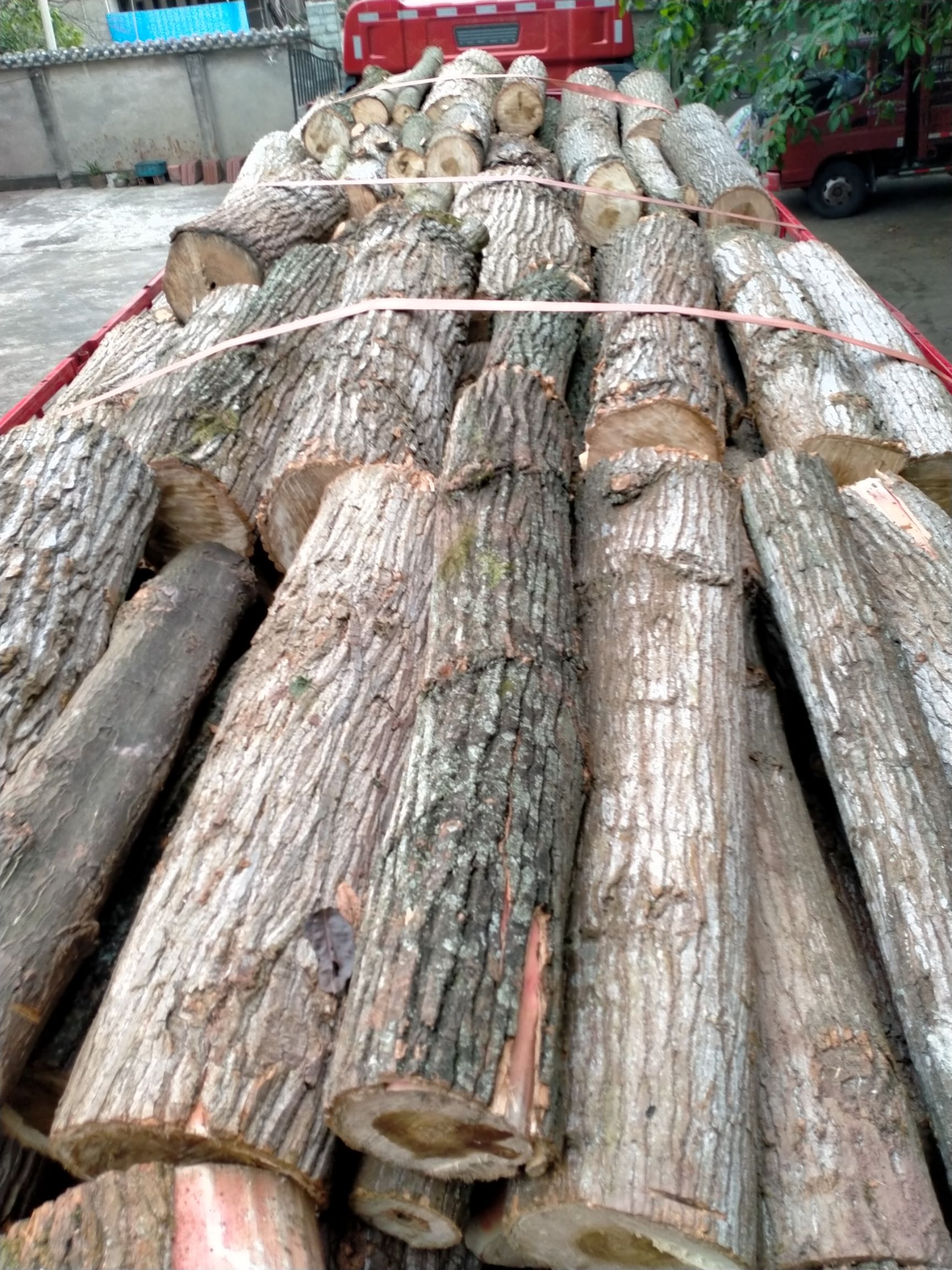 木材  杉木
