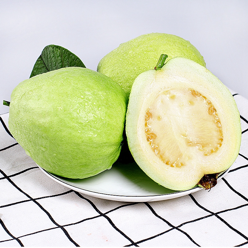 珍珠番石榴苗  珍珠芭乐嫁接苗 白心白肉芭乐水果树苗 品种保证