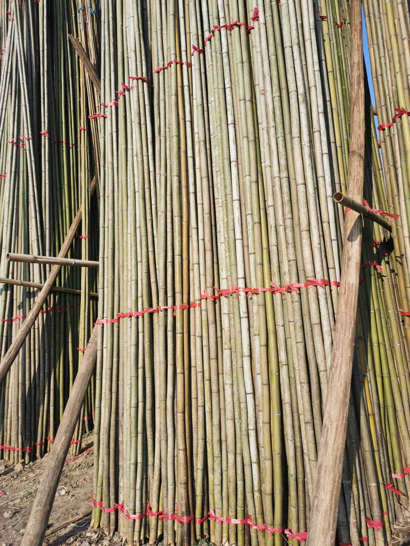  大棚竹竿供应各类竹制品均可加工定制长短粗细