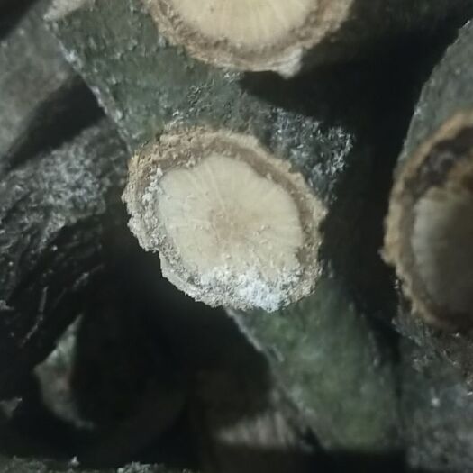 青冈木柴烧火钢炭木杂木木材