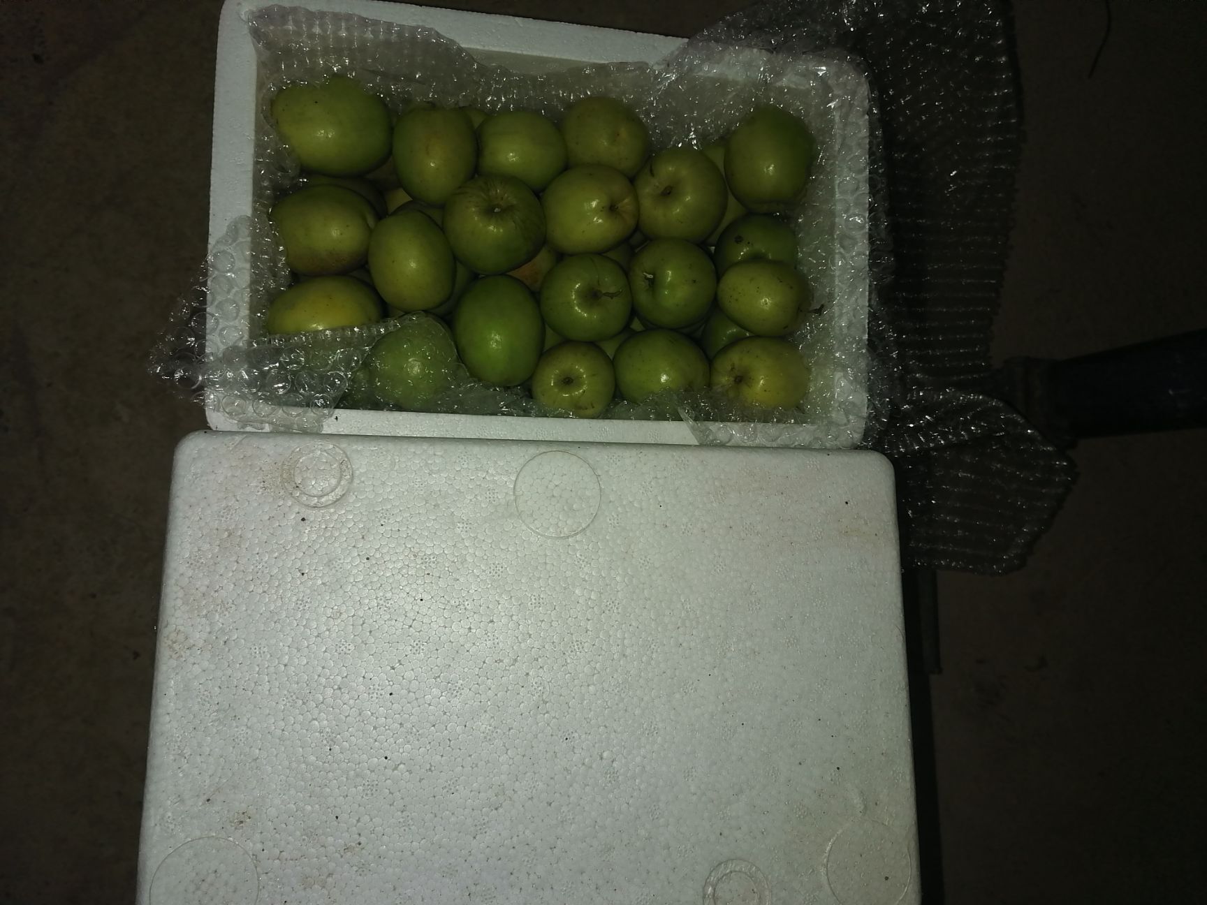 青枣 合作社基地直供大青枣，多汁味特别甜。