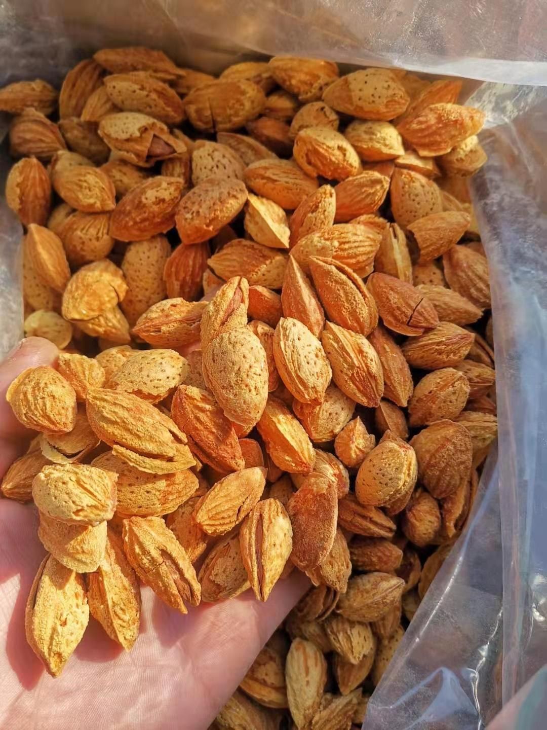 2025年新货，爆款厂家直销一件也是批发价新疆纸皮巴旦木