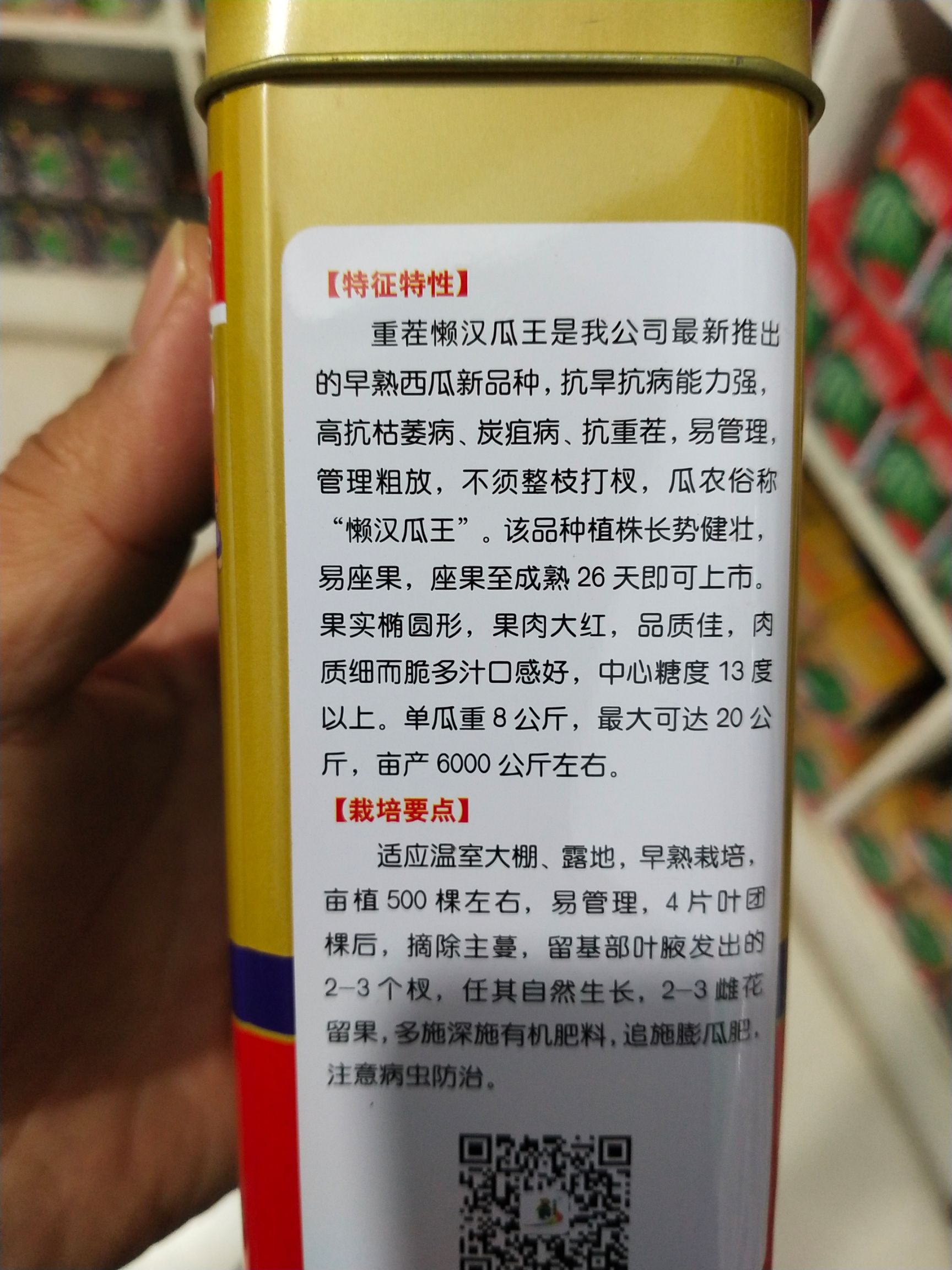 懒汉西瓜种子 重茬懒汉瓜，早熟26天抗重茬糖13度大瓜1