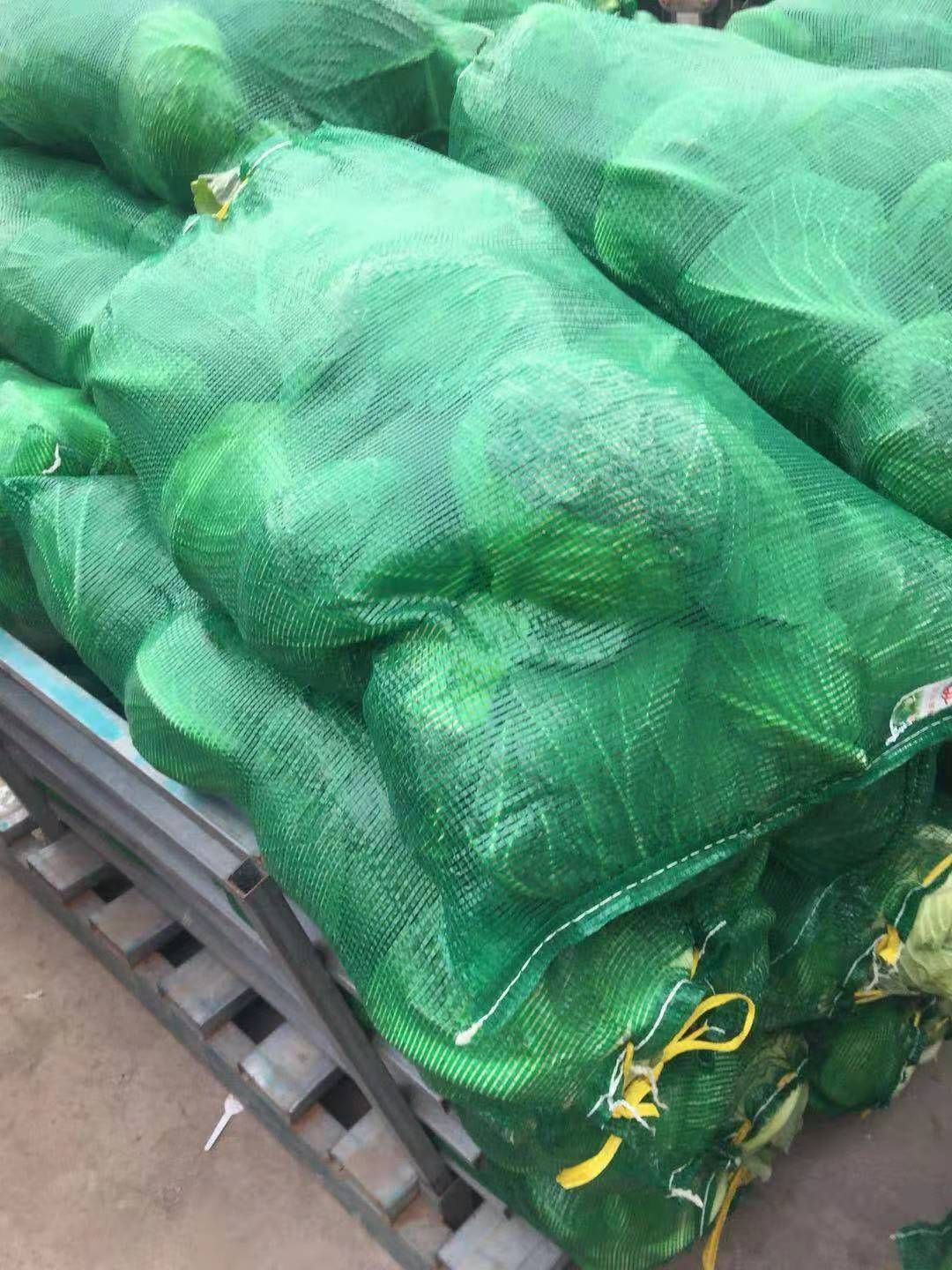  包菜，圆包，扁包，产地直销，质优量大欢迎各地客商订购