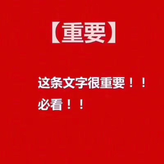 清丰县白鹅 自家养的大鹅 均重7斤 90天 15000只欢迎老板联系
