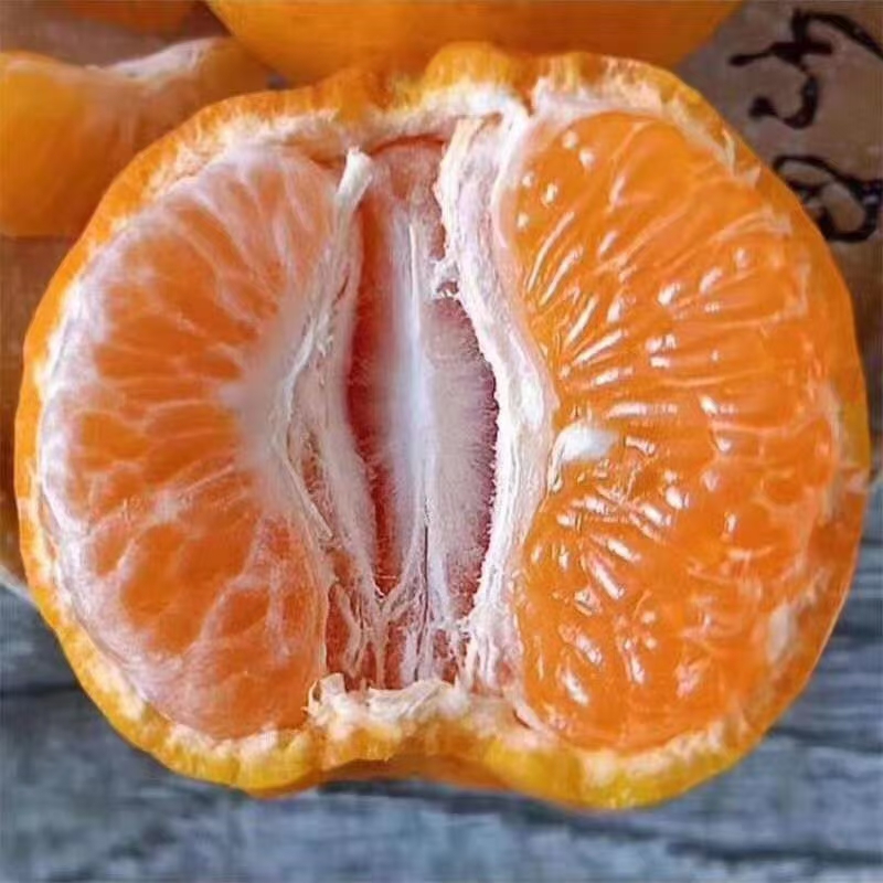  衢州椪柑，经济实惠！