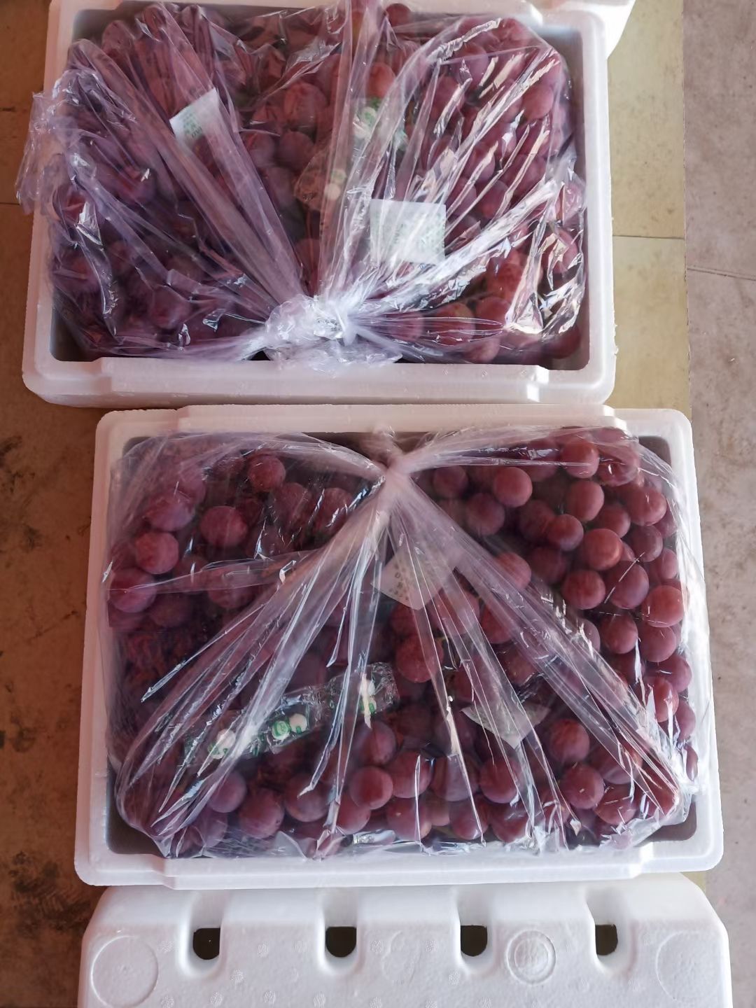 红提 本地红堤葡萄大量出库有想法的老板联系