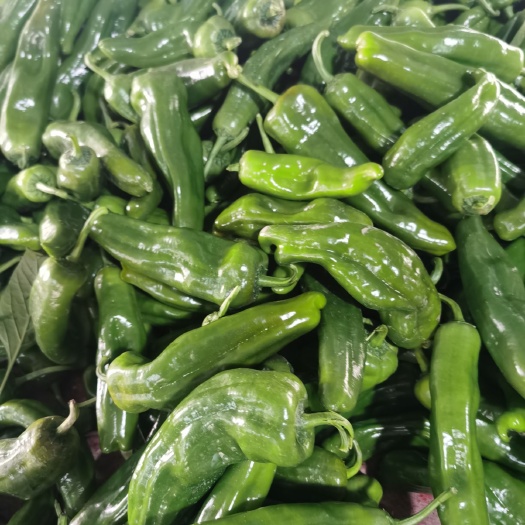 芜湖芜湖椒 青椒便宜了  3块上车