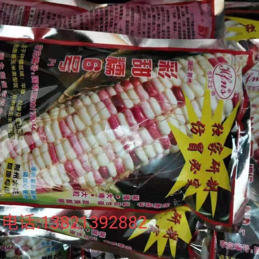 天津糯玉米种子 932优点：产量高，品质受南方市场欢迎236：不易塌米