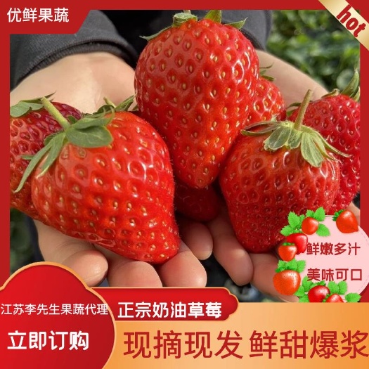 奶油草莓产地大量现货供应宁玉 妙香保质保量诚信合作全国发货