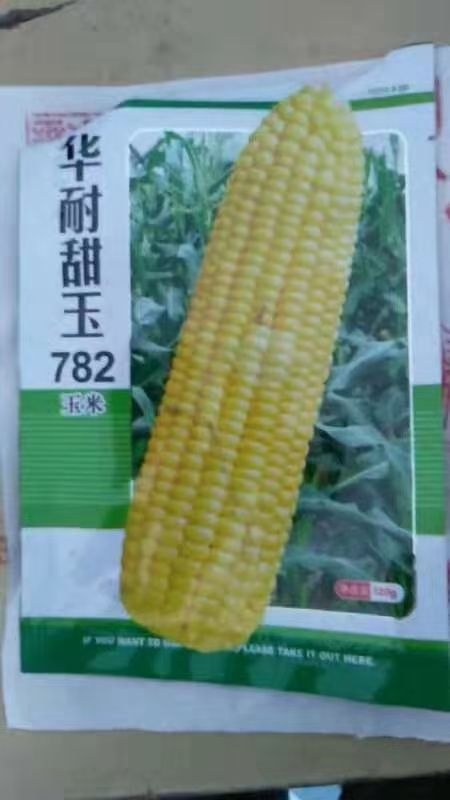 天津水果玉米种子 我可以给您介绍哪个季节应该种什么品种，什么品种好销售