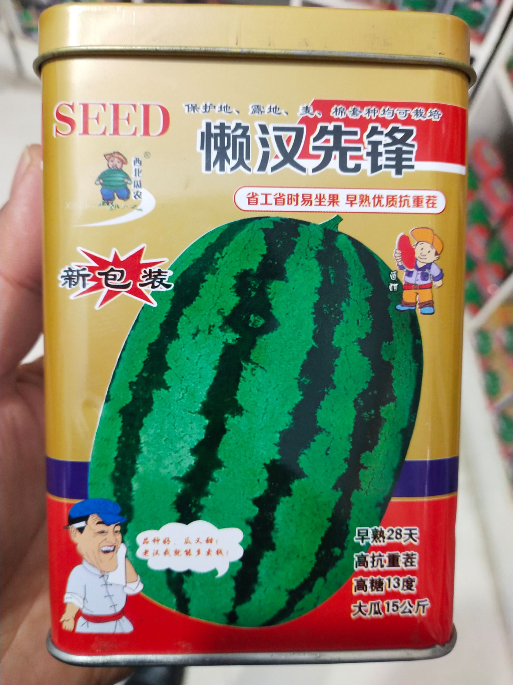 懒汉西瓜种子 早熟28天，糖13度左右，大瓜