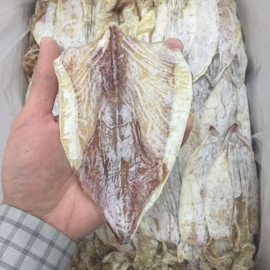 广州鱿鱼干  烧烤专用干鱿鱼2号干鱿