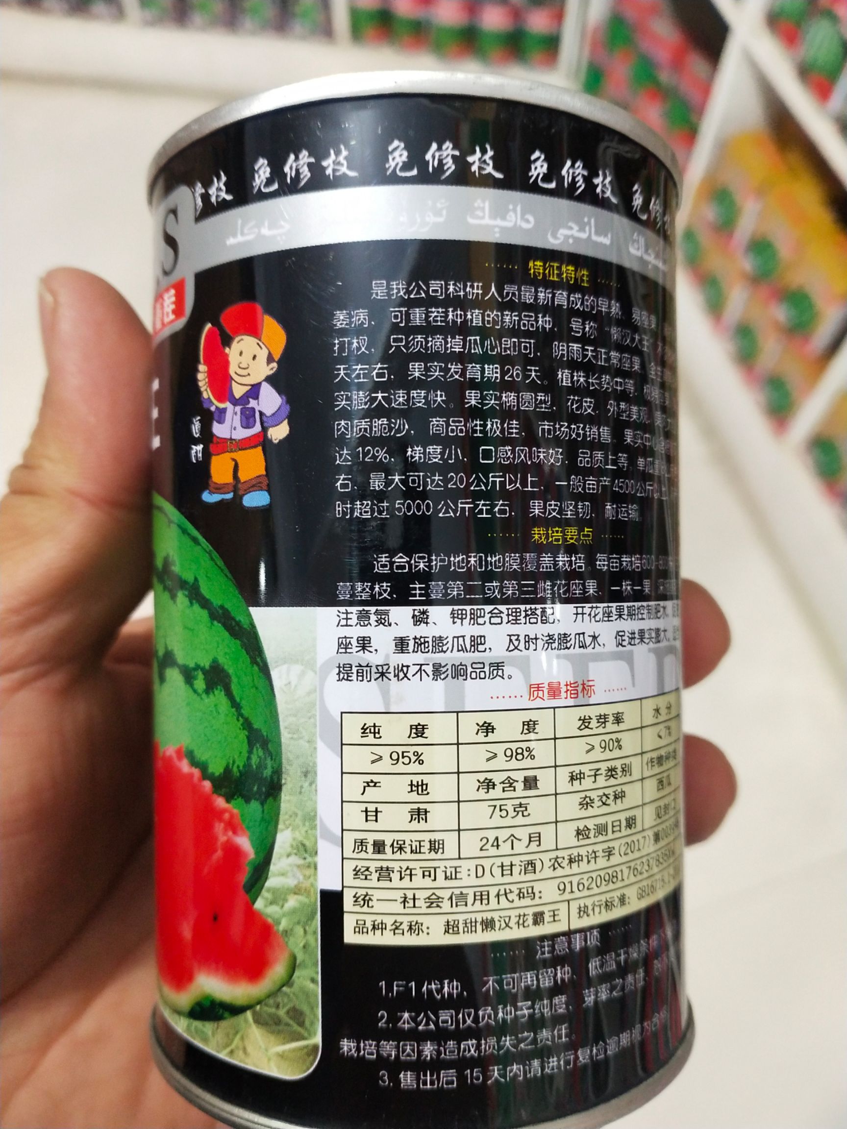 懒汉西瓜种子  懒汉花，早熟26天，抗重茬，糖12.5度