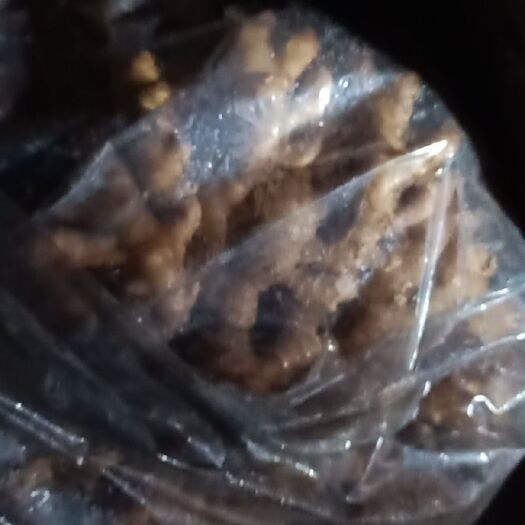 蓝山县 湖南小黄姜，香，辣，长，胖，版型好看