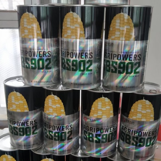 天津水果玉米种子 天津北京河北春播早期甜玉米品种！上市早，品质好，价钱高！