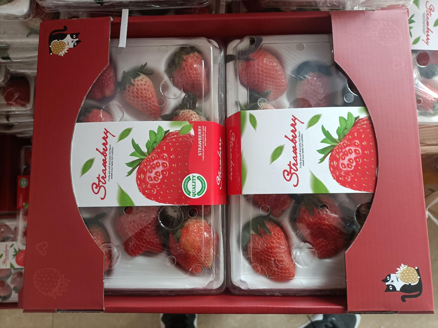 奶油草莓 平度甜宝草莓，口味上佳，质量上乘，产地直发欢迎选购