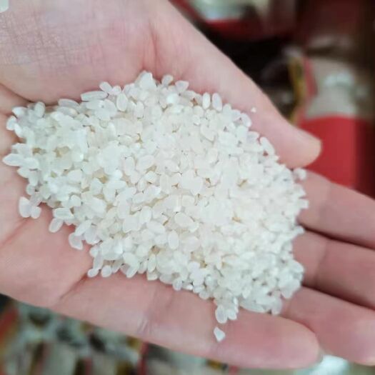长春圆粒大米 超级稻